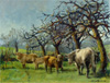 Vaches - Pommeraie